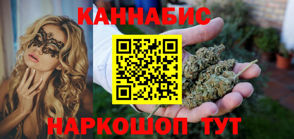 Шишки марихуана семена  Вход с VPN  Медногорск  Каннабис план 
